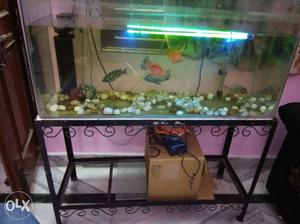Aquarium fishs filter pump accessories and much more for