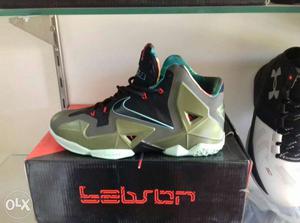 Brown, Gray And Black Nike Lebron Basketball Shoe On Box