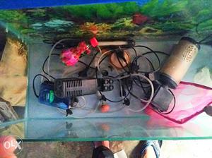 Crystal clear cheapest aquarium with 2 filter,1