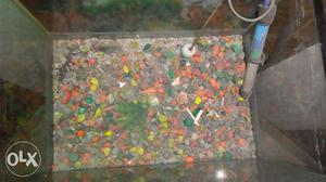 Fish tank in good condition with free heater and