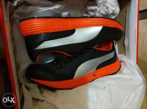 Puma ornge color shoe.brand new.totaly