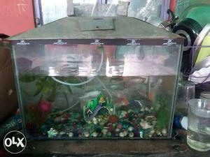 Rectangular Brown Metal Frame Fish Tank