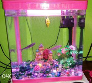 Small FISH TANK SALE Brought 3 months back 2