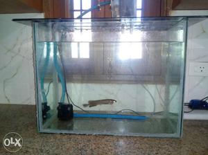Vastu fish with 100 litre aquarium,air pump,air
