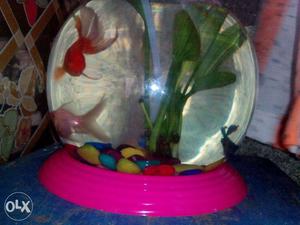 Very Good condition 3days used Bowl aquarium and