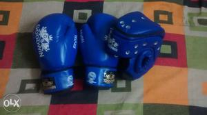 Original Olympic Goodwin gloves and headgears