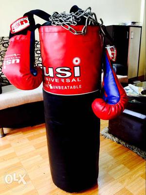 USI Punching Bag..With boxing Gloves