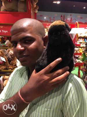 Black Animal Plush Toy