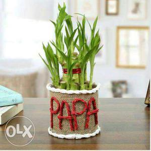 PAPA Rope Letter Cutout On Natural Fabric Planter