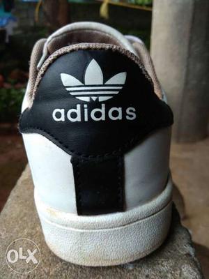 Pair of Adidas sneaker white and black small usage