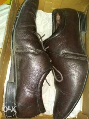 Party wear pure leather brown shoes..8 no.