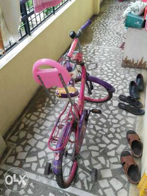 Pink And Purple Bike