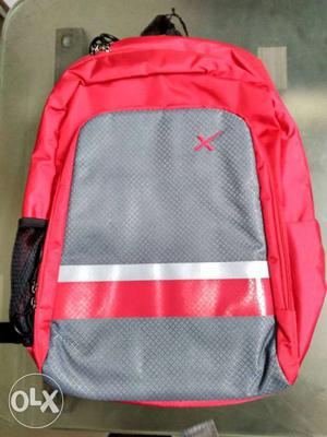 Gray And Red Backpack