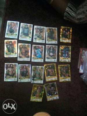 WWE Wrestlers Collectible Cards