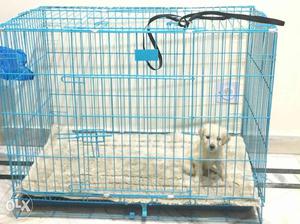 Cage for your pet..good in quality..very useful