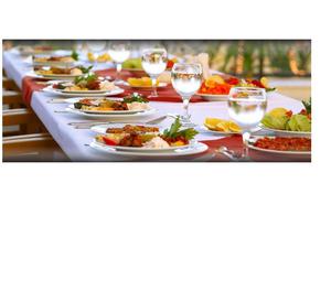 Chennai best catering service specialy an veg, per plate 220