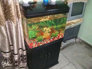 Fish Aquarium in New condition with wooden cabinet