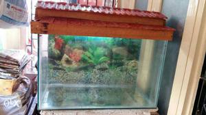 Fish tank available for sale With new filter, 6