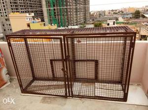 Pegion iron cage