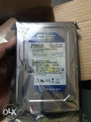 250 GB Western Digital Blue Internal HDD