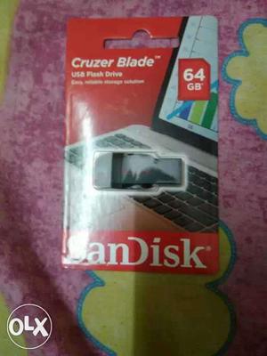 64 GB SanDisk Cruzer Blade