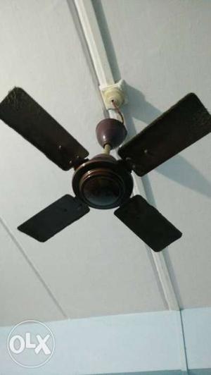 Brown Four-blade Ceiling Fan for Kitchen and Two way Exhaust