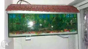 Fish tank 2.5fit,oxygen,filter,white