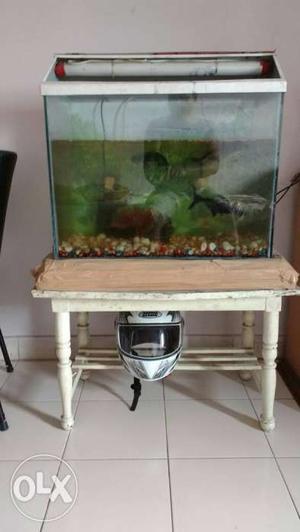 Fish tank with filter and oxygen