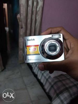 Gray Kodak Point-and-shoot Camera