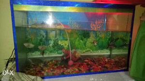 My aquarium jaar large size and very good condition