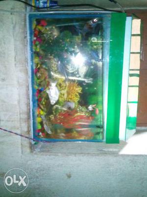 Only fish tank 18*9 size