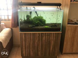 Plated aquirium for sale,having canister