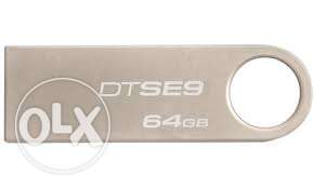 Silver DTSE9 64GB USB Flash Drive