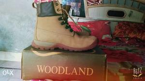 15 days old fix price original shoes of Woodland