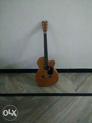 Brand New Jimm unused guitar with cover