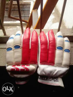 Gloves batting fully new ss company