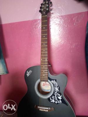 Guitar Signature brand new only 4days old with