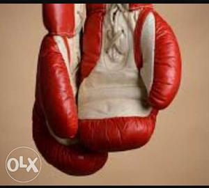 Pair Of Red Leather Punching Gloves
