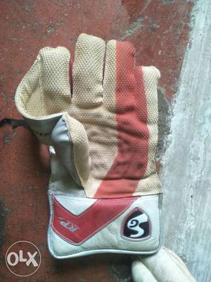 Two wicket keeping gloves