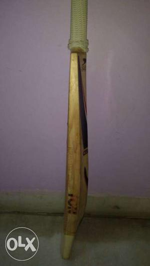 Want to sell 2 English Willow Cricket Bat SS Ton