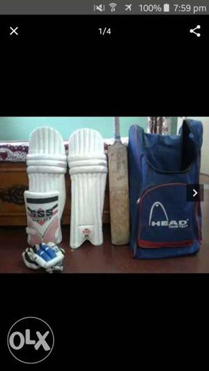 Cricket kit - bat,gloves,thigh pad, pad, kit bag