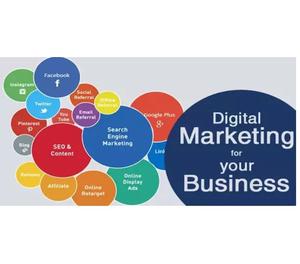 Digital marketing agency in Noida Noida