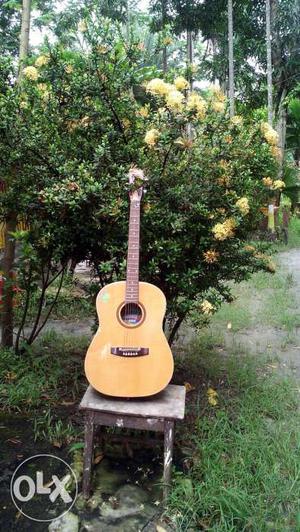 Givson company's Guitar. It is superb in