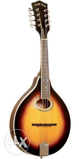 Mandolin with awesome quality...1month