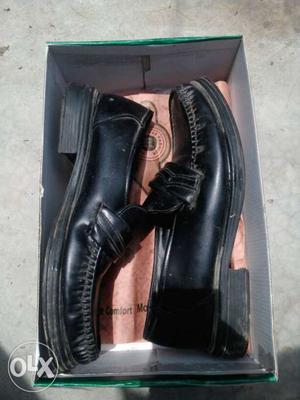 Pair Of Black Penny Loafers In Box