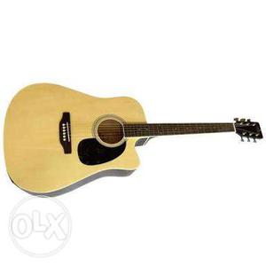 Pluto Round Hole Cutway Acoustic Guitar with 3 band
