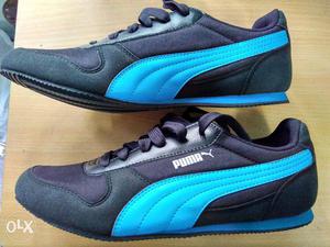 Puma Dp Puma Black and Blue Sneakers