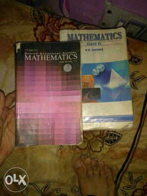 Two Mathematics Academic Books