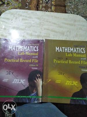 Two Mathematics Lab Manual Books