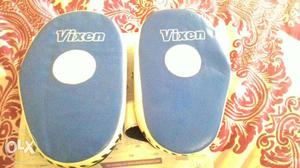 A pair of Vixen karate gloves